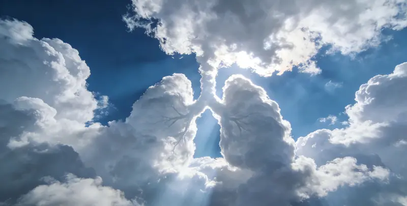 甘南肺癌68基因检测图片1