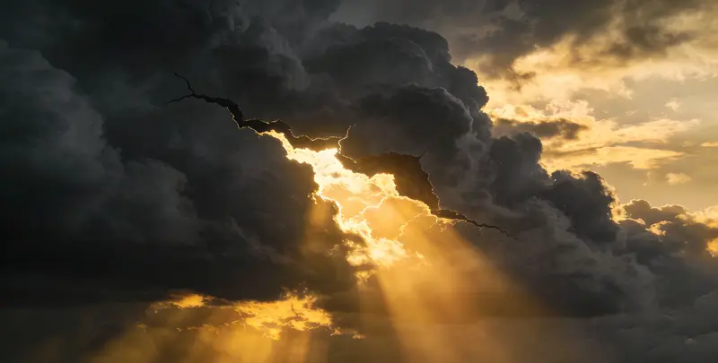 甘南肺癌8基因突变检测（组织）图片1